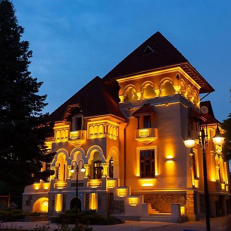 Casa Danielescu Hotel ทาร์กู จิอู ภายนอก รูปภาพ