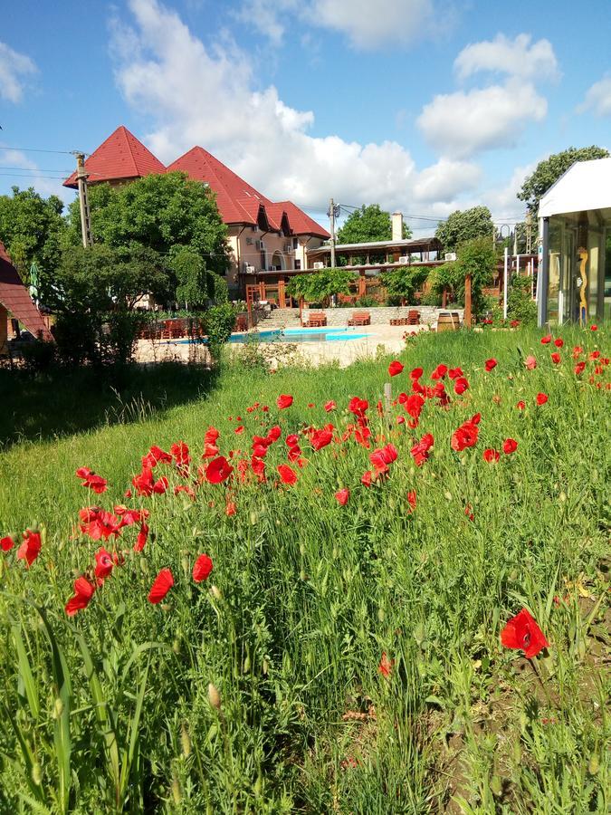 Casa Danielescu Hotel ทาร์กู จิอู ภายนอก รูปภาพ