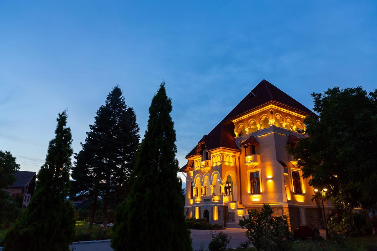 Casa Danielescu Hotel ทาร์กู จิอู ภายนอก รูปภาพ